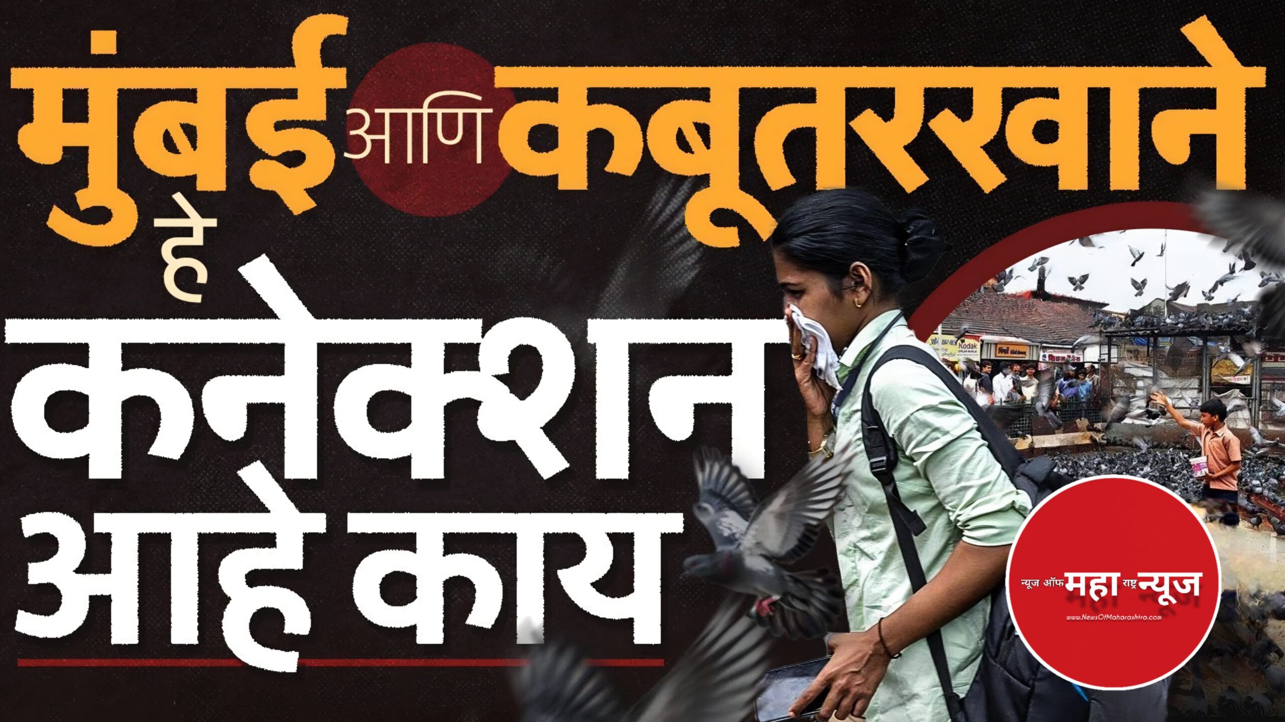 दादर कबुतरखाना