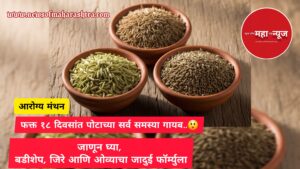 पोटाच्या समस्या ,health tips (Stomach Problems)

