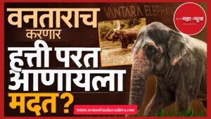 महादेवी हत्तीण ,वनतारा , नांदणी  